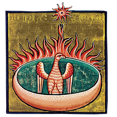 unused medieval phoenix artwork