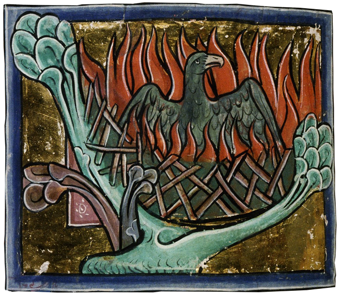 the medieval phoenix that I used