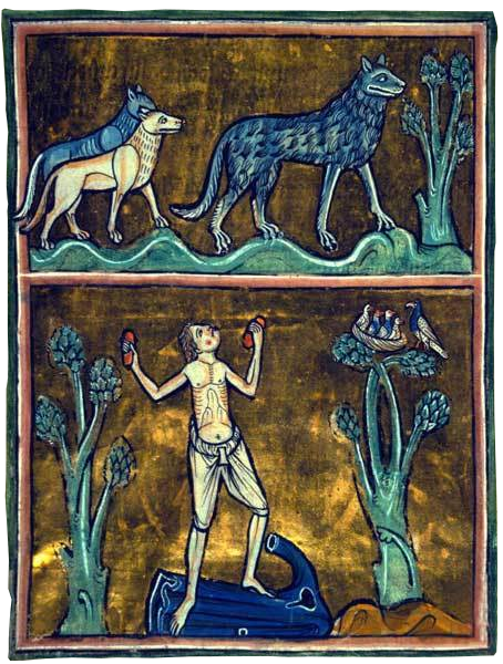 the medieval wolf